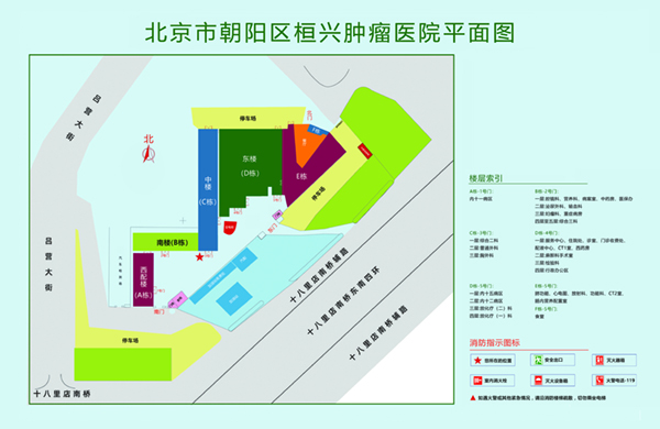 欧州日欧州BB北京市朝阳区桓兴肿瘤医院平面图